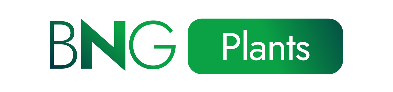 BerryNextGen-LOGO-PLANS